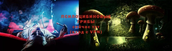 молекула духа Алзамай