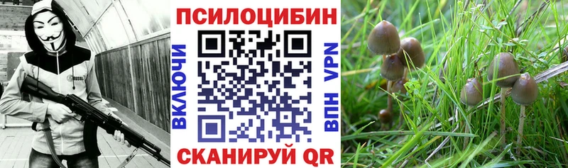 mega ONION  Николаевск-на-Амуре  Галлюциногенные грибы Magic Shrooms  купить наркотики цена 
